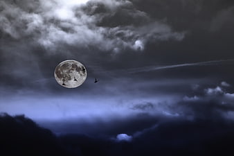 Full moon with bats flying through dramatic cloudy night sky