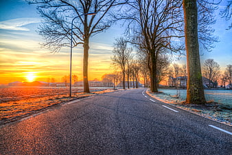 Frosty Country Road at Golden Sunrise