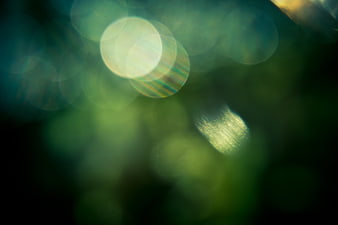 Abstract green bokeh background with soft light circles