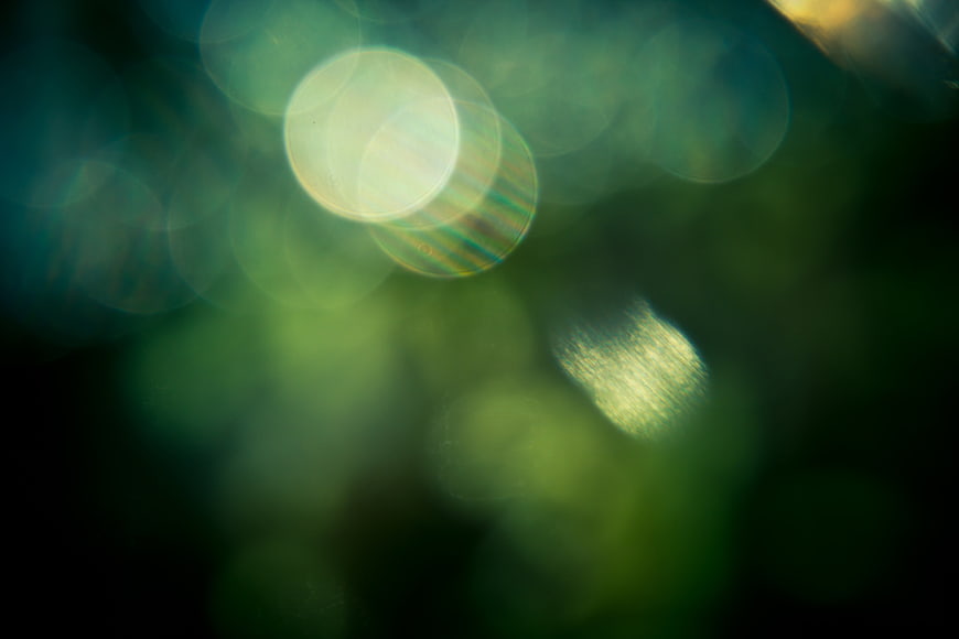 Abstract green bokeh background with soft light circles