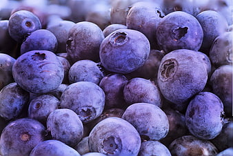 Close-up of fresh blueberries with natural texture and vibrant purple tones