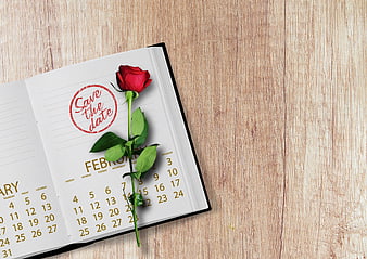 Save the Date Calendar with Red Rose on Wood