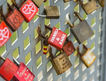 Red and brass love padlocks on metal fence