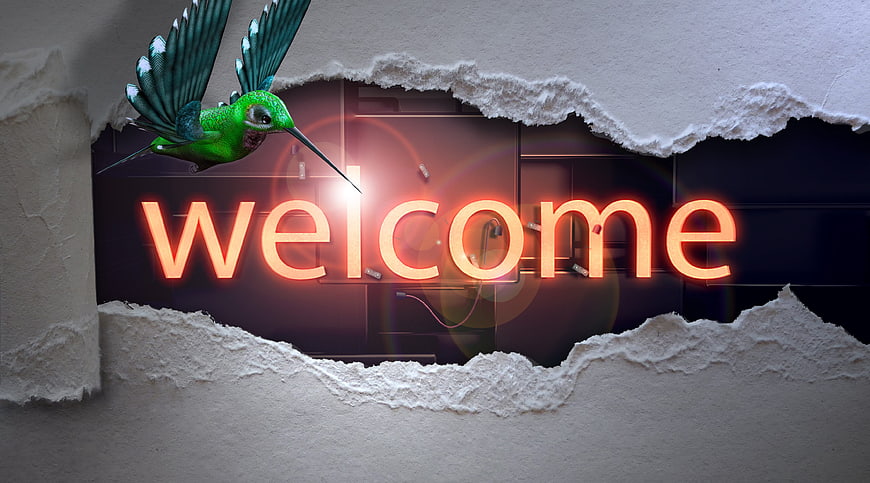 Hummingbird Flying Through Torn Paper Reveal Neon Welcome Sign