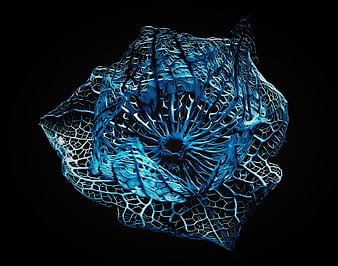Blue skeletal plant structure isolated on black background