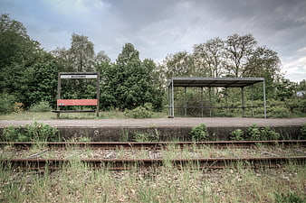 Abandoned Wildervank Train Station Platform with Overgrown Tracks