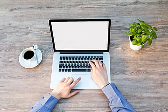 Top View of Hands Typing on Laptop with Coffee and Plant