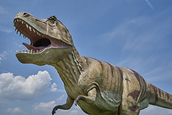Tyrannosaurus Rex Replica Model Against Blue Sky