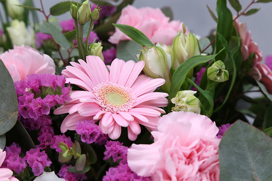 Pink Gerbera And Carnation Bouquet Close Up