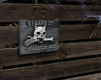 Beware of Skeleton Dog Halloween Sign on Wooden Fence