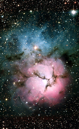 Trifid Nebula Deep Space Astrophotography