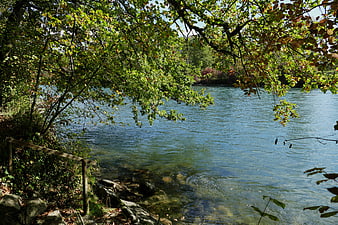 Serene River View Through Overhanging Autumn Trees