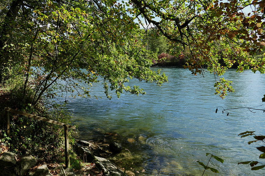 Serene River View Through Overhanging Autumn Trees