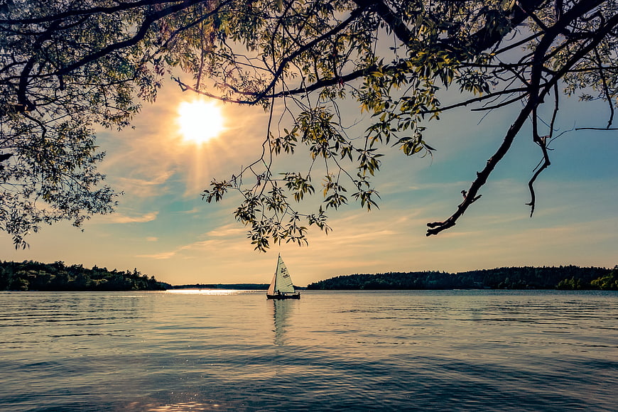 Sailboat on Lake at Sunset Through Tree Branches