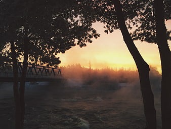 Misty River Sunset with Bridge and Silhouetted Trees