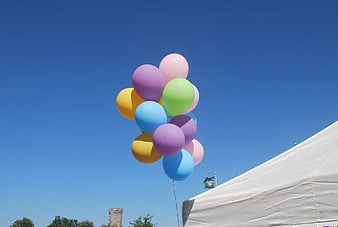 Colorful Pastel Balloons Floating Against Blue Sky