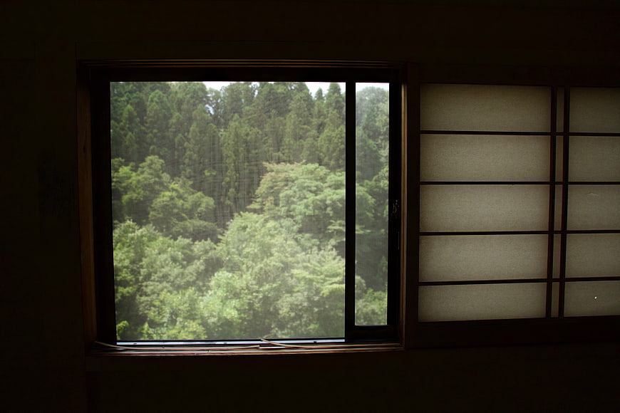 View of lush green forest through traditional Japanese window