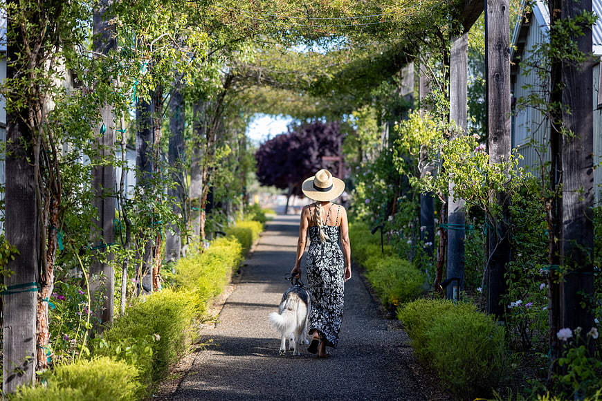 Woman Walking Dog Down Garden Path