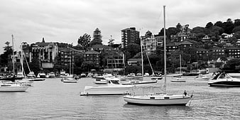 Black and white harbor scene with sailboats and city skyline