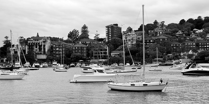 Black and white harbor scene with sailboats and city skyline
