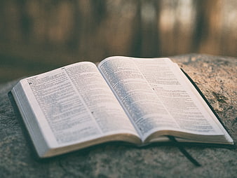 Open Bible on Stone Rock with Blurred Background