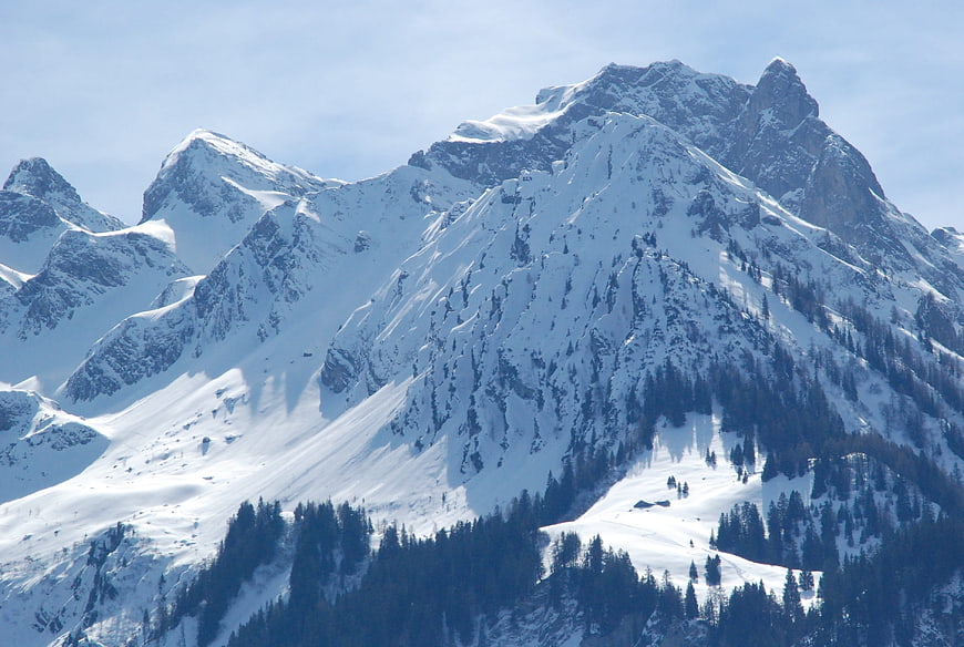 Snow-Covered Mountain Peaks with Pine Forest