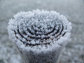 Close-up of frost crystals on a wooden post