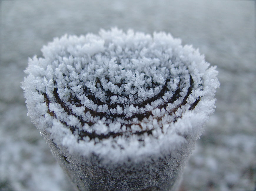 Close-up of frost crystals on a wooden post