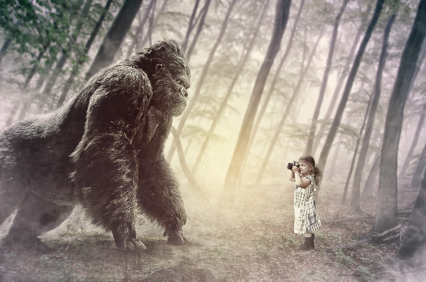 Giant Gorilla Facing Young Girl With Camera In Misty Forest