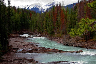 Turquoise River Flowing Through Forest with Snowy Mountains
