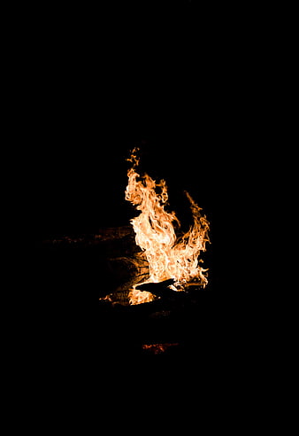 Campfire Flames Burning Against Black Night Background