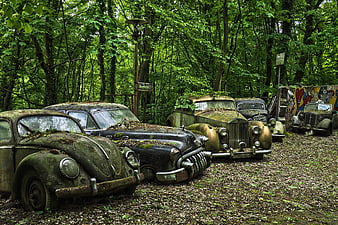 Abandoned vintage cars in a forest car cemetery