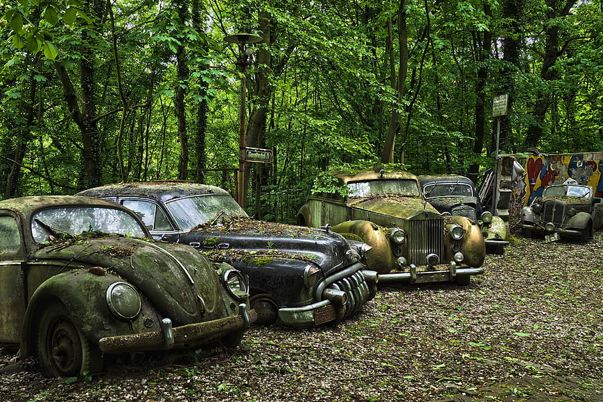 Abandoned vintage cars in a forest car cemetery