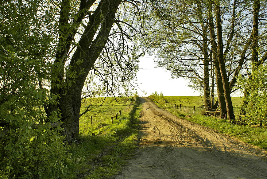Rural Sandy Country Road Lined With Trees And Green Fields