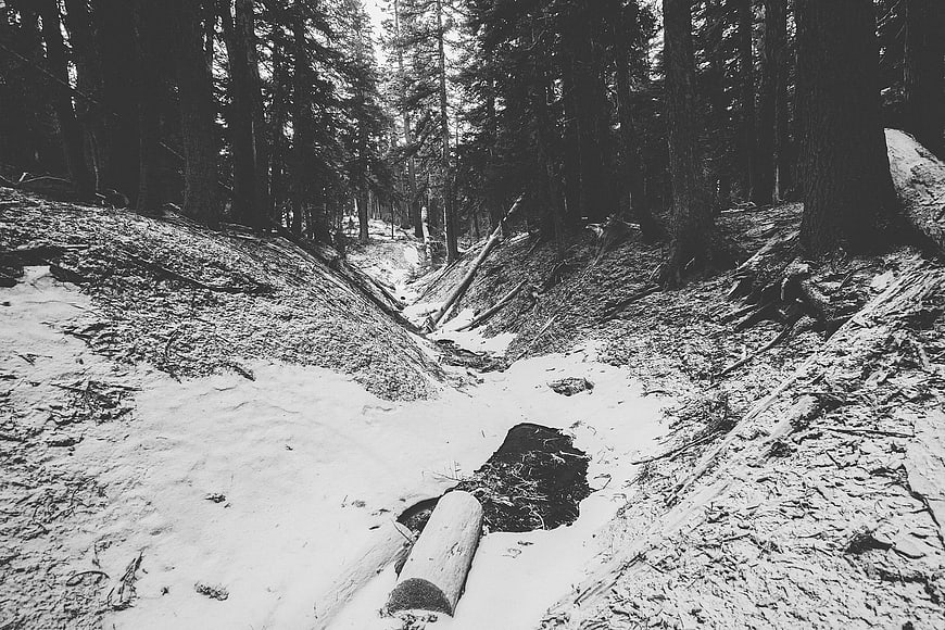 Black and white winter forest with snow-covered stream and logs