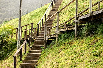 Wooden stairs ascending a grassy hill with fork in path