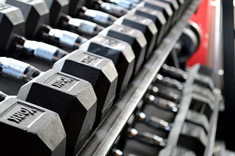 Close-up of hex dumbbells on a gym rack
