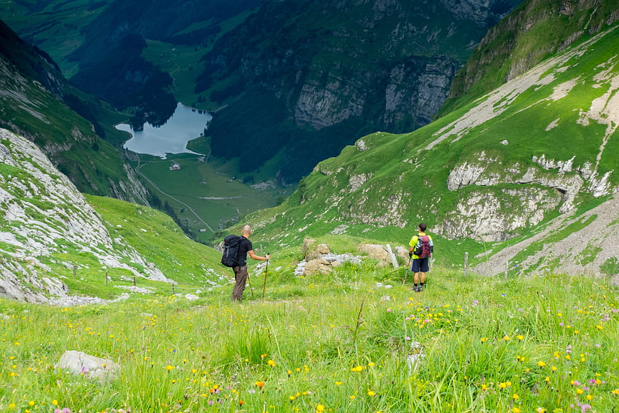 Two hikers overlooking a green alpine valley with a lake