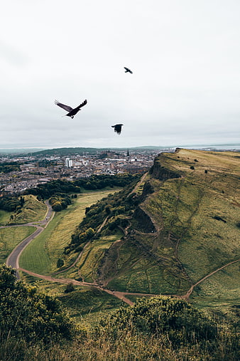Crows Flying Over Edinburgh Castle and Arthur's Seat