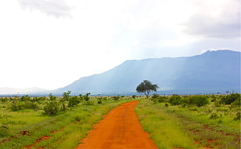 Red dirt road winding through green savanna landscape with mountains