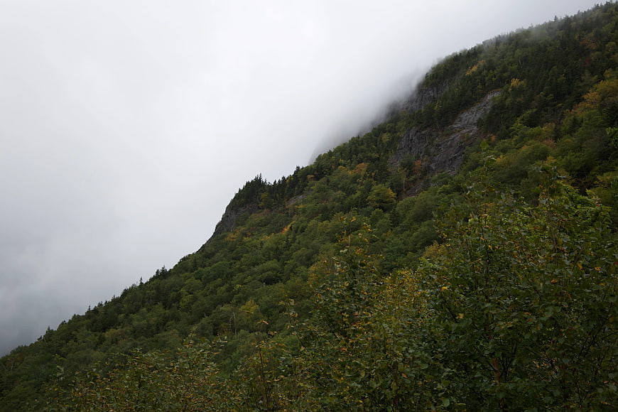 Misty Mountain Slope with Dense Green Forest