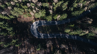 Aerial View of Winding Road Through Dense Forest