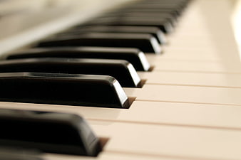 Close-up of piano keys with shallow depth of field