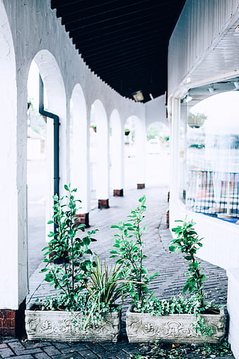 White Arched Corridor with Green Plants in Stone Planters