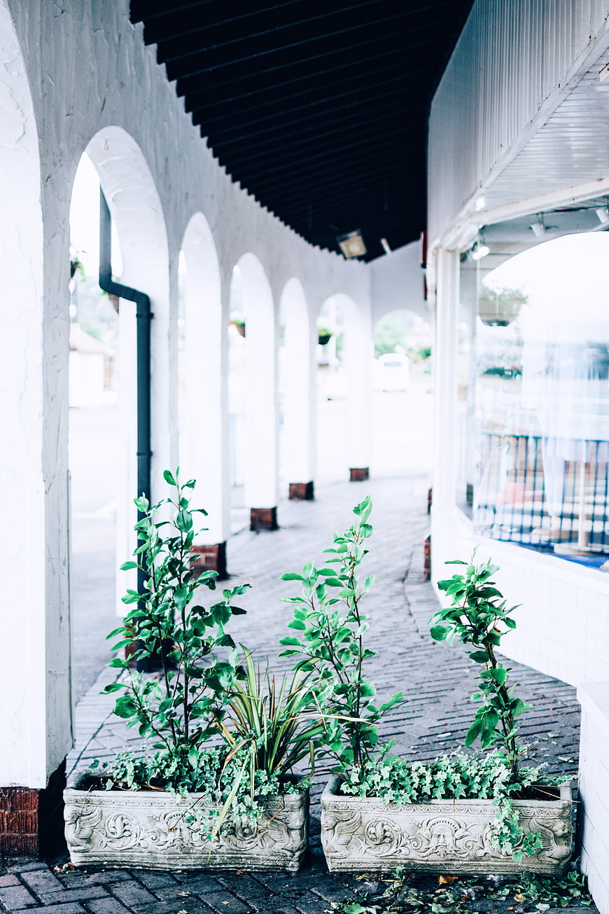White Arched Corridor with Green Plants in Stone Planters