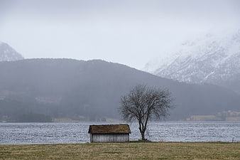 Solitary wooden shed and bare tree by lake with snowy mountains