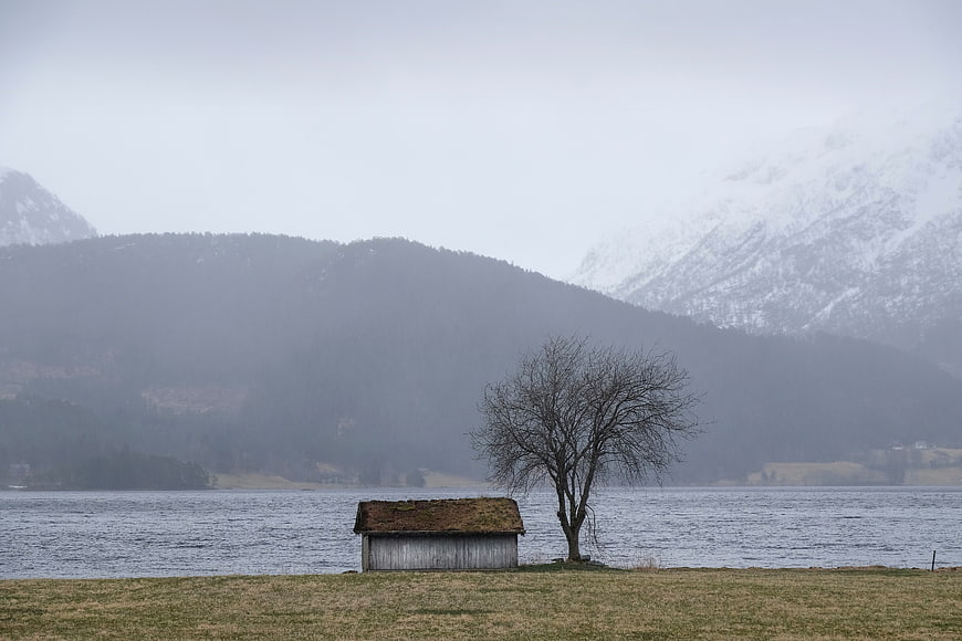 Solitary wooden shed and bare tree by lake with snowy mountains