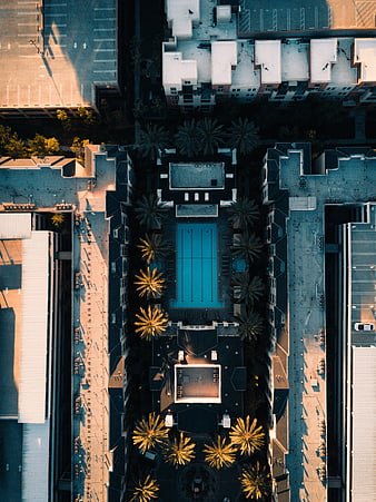 Aerial View of Urban Rooftops and Swimming Pool