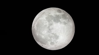 Full Moon Close-Up Against Black Night Sky