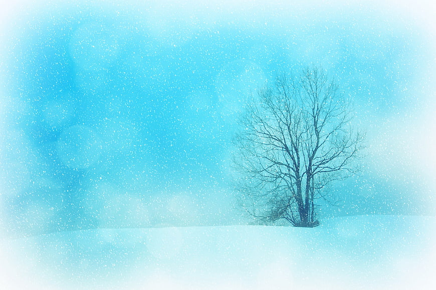 Lonely bare tree in snowy winter landscape with blue bokeh